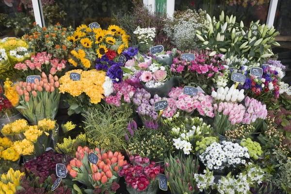 Blumen und Pflanzen Branchenlösungen