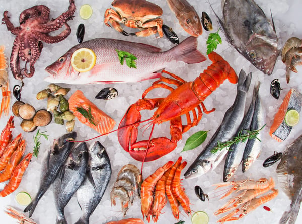 Fisch und Tiefkühlprodukte Branchenlösungen